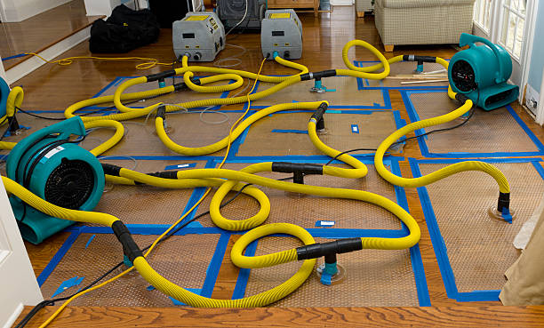Professional Basement Flood Cleanup technician working in Hutchinson, MN